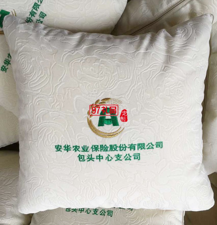 新能源汽車(chē)抱枕被定制案例
